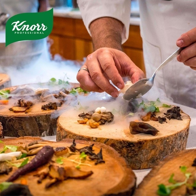 Knorr Professional