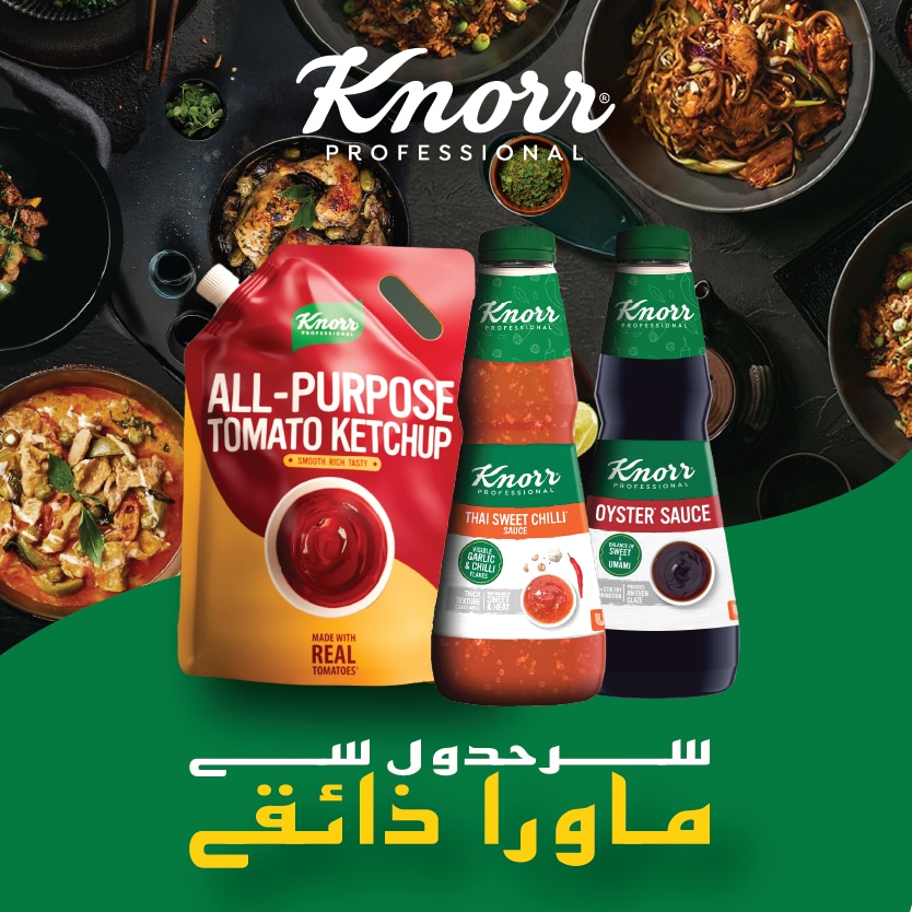 نور پروفیشنل ساس گائیڈ