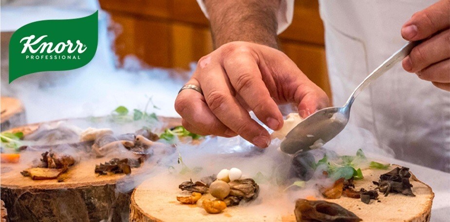 کنور پروفیشنل