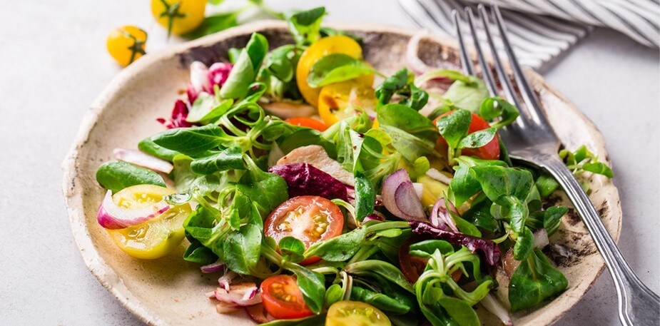 بہترین ڈریسڈ سلاد تیارکرنے کےلئے مفت گائیڈ بک